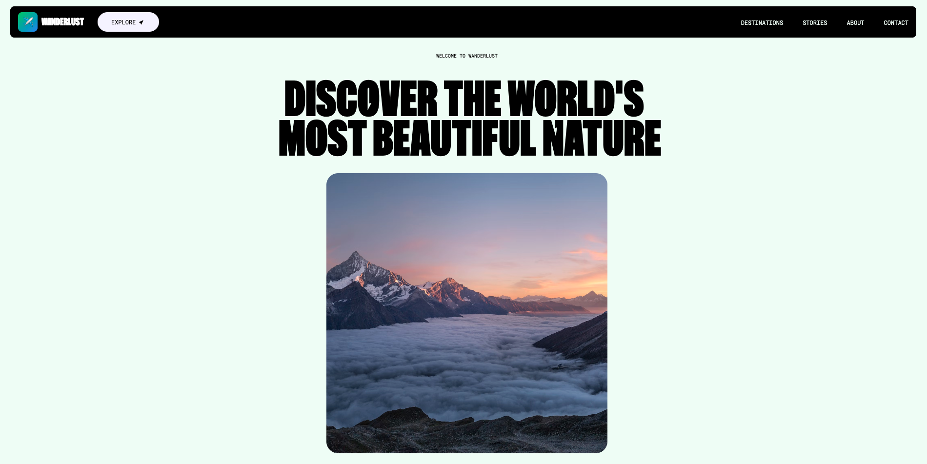 Travel Website